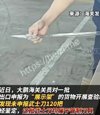 大鹏海关检查
